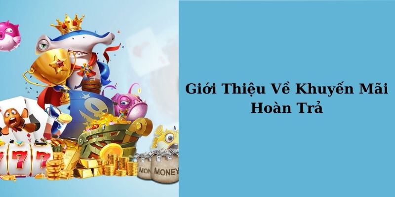 Ưu đãi hoàn tiền tại Game Bài Đổi Thưởng New88 năm 2024